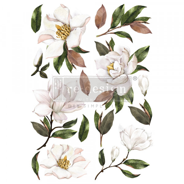 "Magnolia Grandiflora" - Transferfolie ReDesign
