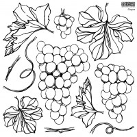 Decor Stempel "Grapes"