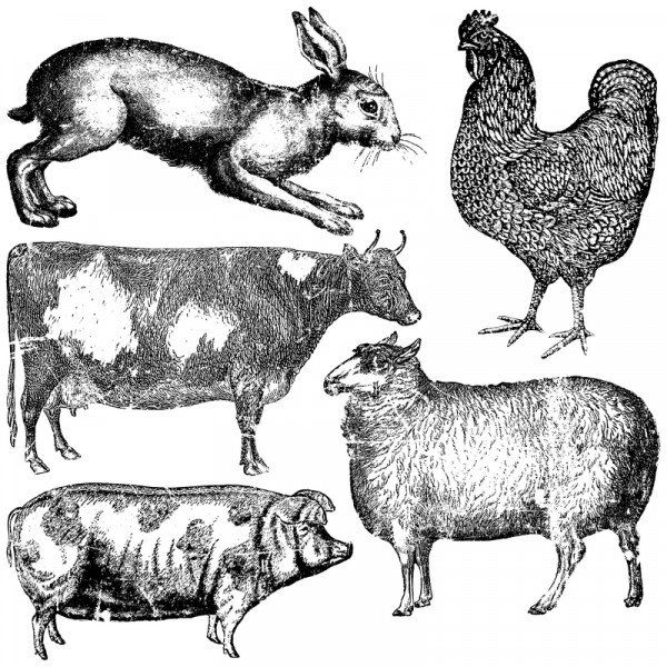 Decor Stempel "Farm Animals"