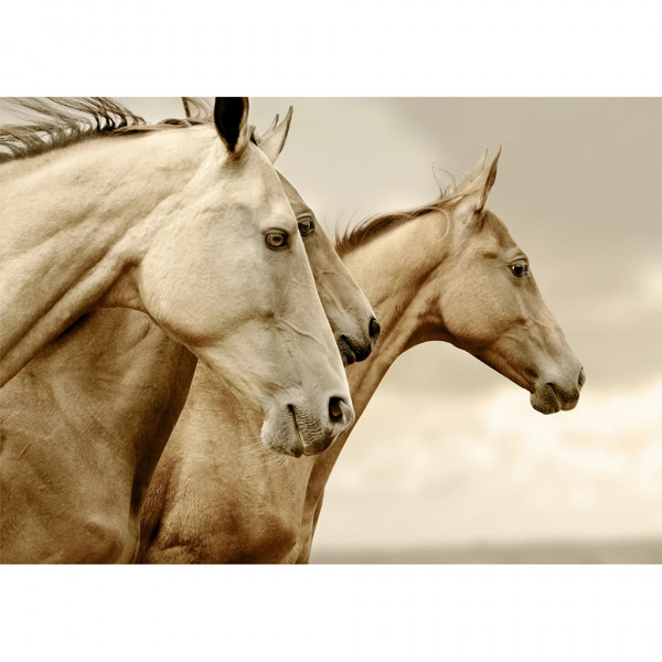 Sepia Horses - Decoupage Papier