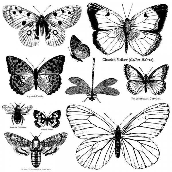 Decor Stempel "Butterflies"