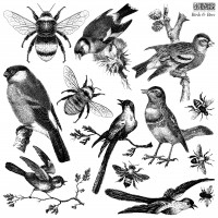 Decor Stempel "Birds & Bees"