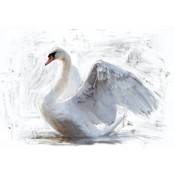 White Swan - Decoupage Papier