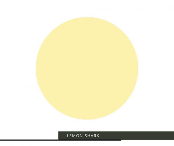 Lemon Shark - Kreidefrabe mit Tonanteilen