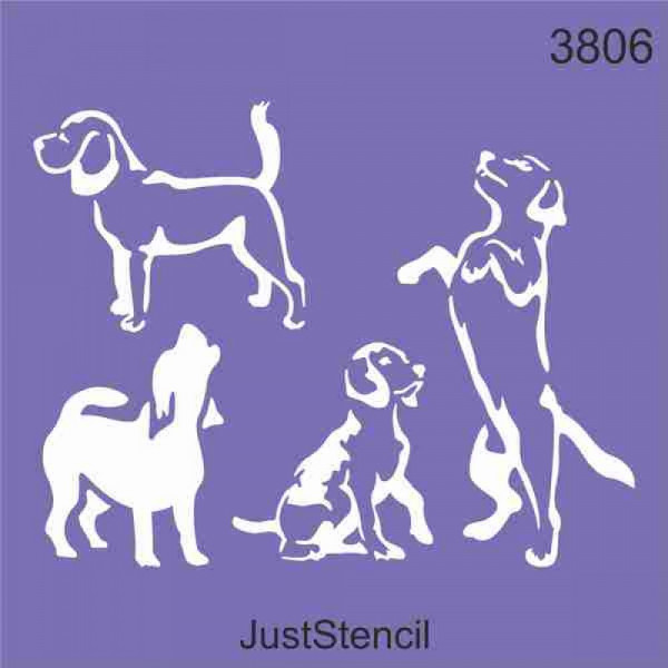 Dogs - 3806