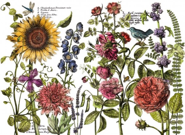 Decor Transfer "Botanist Journal"