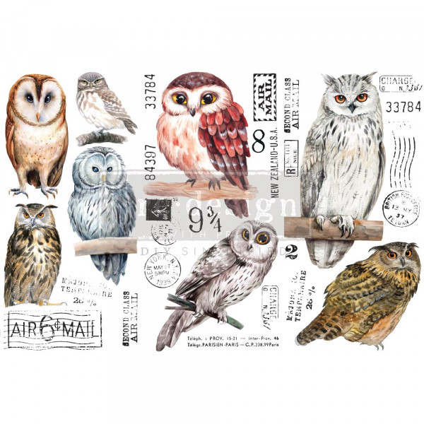 "Owl / Eule" - Transferfolie ReDesign